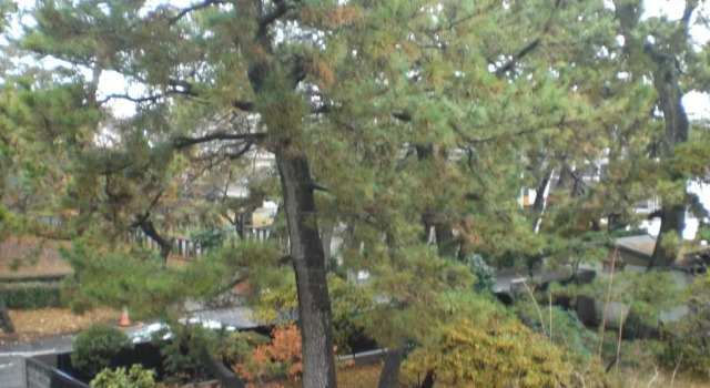Коттедж Minato Oasis Numazu - Vacation STAY 31031v