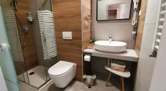 Двухместный номер Standard Мансарда Hotel Almhof