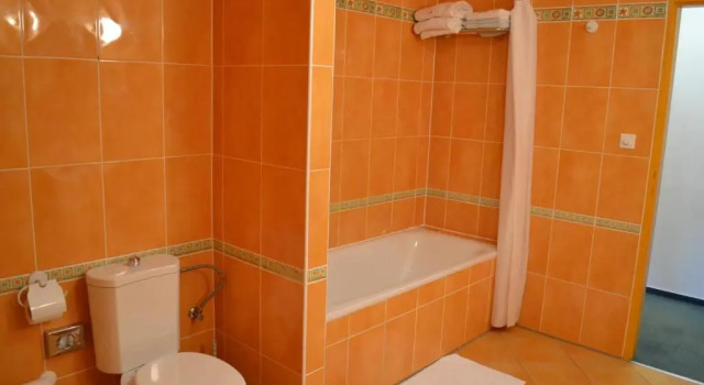Трёхместный номер Standard Hotel Dvorak