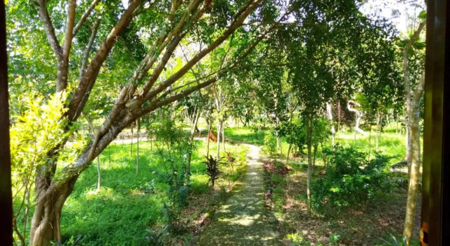Номер Standard Green Hope Lodge