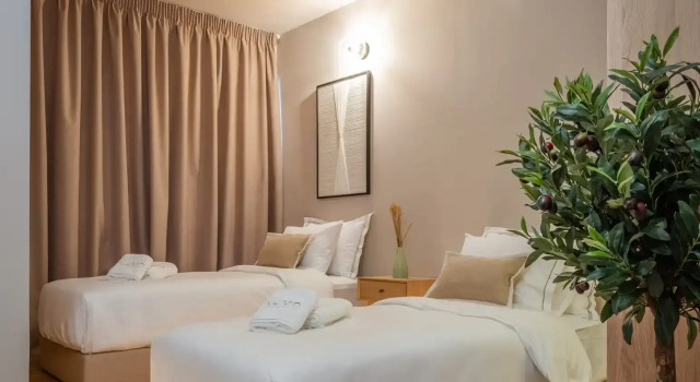 Двухместный номер Budget Num Suites & Lofts Athens