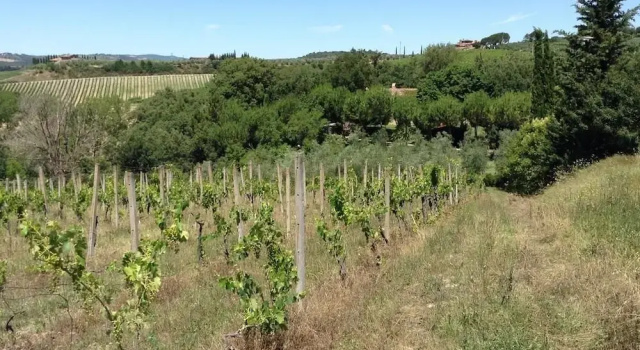 Podere Romitorio
