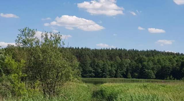 Номер Standard Apartamenty Mazury