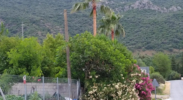 Коттедж El Antiguo Molino