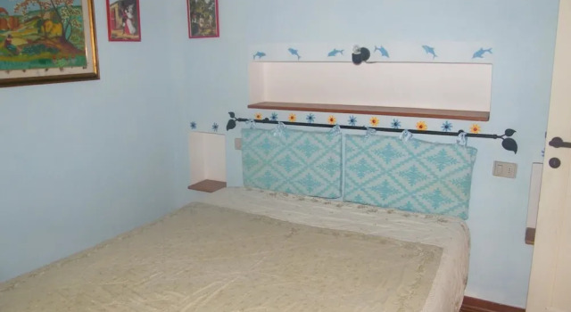 Lucertola, Book Hotel Santa Teresa Gallura Emerald Coast
