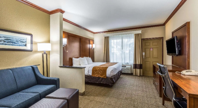 Двухместный номер Standard Comfort Suites Galveston Cruise Port Area - Beachside