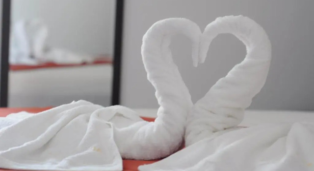 Standard Kahden hengen huone parvekkeella Hotel Evia
