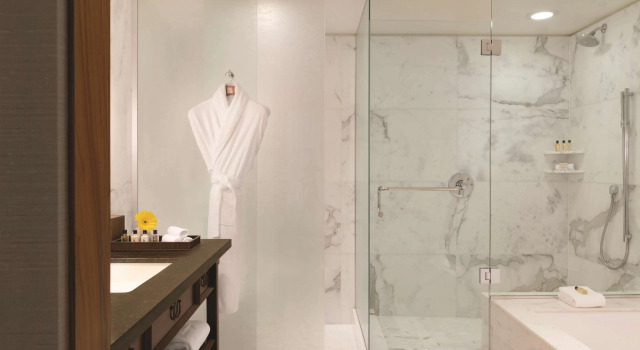 Двухместный номер Superior Hyatt Vancouver Downtown Alberni