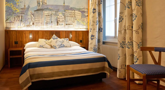 Двухместный номер Economy с видом на город Hotel Adler Zürich