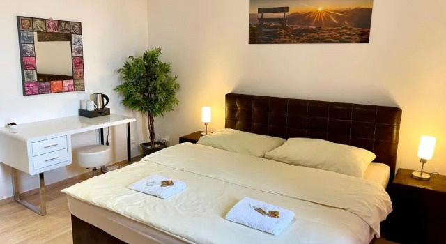 Двухместный номер Deluxe Hotel Stará Pošta
