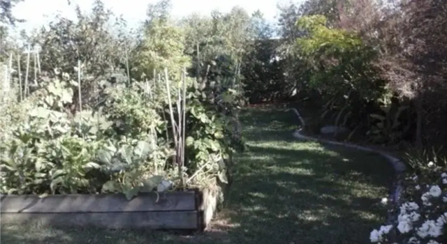 Andros B&B