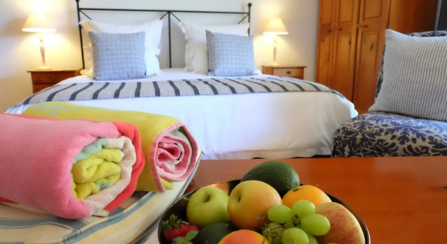 Двухместный номер Executive Vine Guesthouse