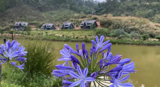 Lat Valley Retreat Village, Забронировать Отель Лоян Ламдонг