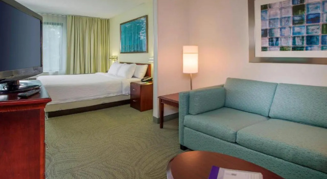 Студия SpringHill Suites Raleigh-Durham Airport/Research Triangle Park