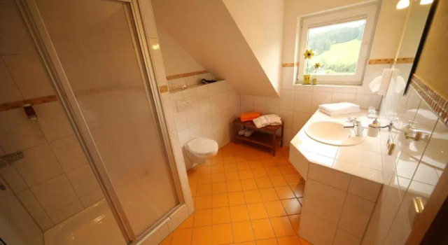 Haus Sommerberg, Rezervovat Hotel Feldberg Bádensko-Württembersko