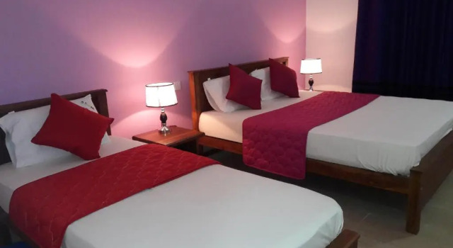 Трёхместный номер Luxury Rani Inn