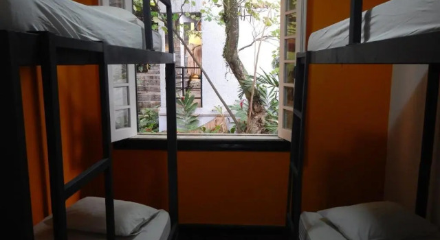 Кровать в общем номере Pura Vida Hostel