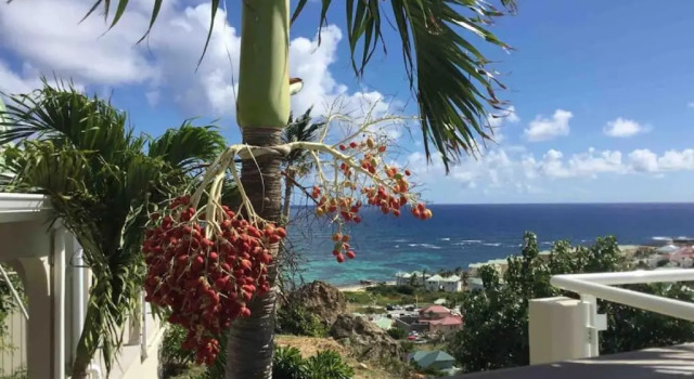 Коттедж V4 Magical view of the ocean and Saint Barth