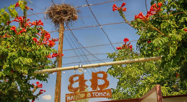 Ashot & Gohar B&B, Prenota Bed & breakfast Hotel a Vayots Dzor region con piscina, Piscina