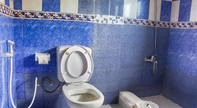Одноместный номер Standard Horizon Palace Hotel