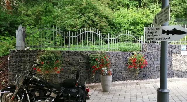 Двухместный номер Standard Parkhotel Forest
