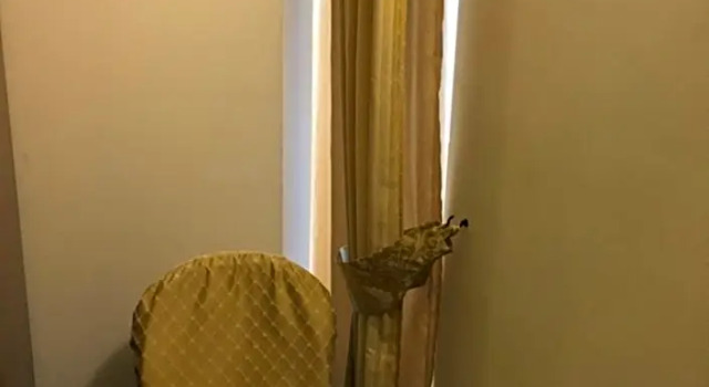 Номер Standard Hotel Monte Baldo
