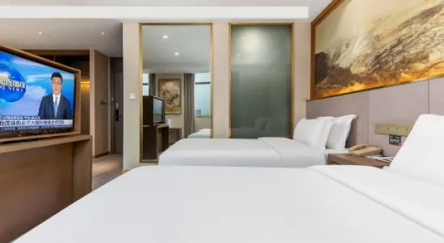 Двухместный люкс Deluxe Wuhan Weijia Qingshe Hotel (Wuhan South Lake Polytechnic University)