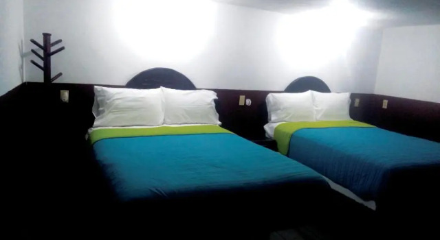 Люкс Standard Hotel Falcon