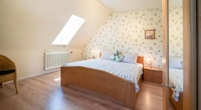 Номер Economy Kräuterhotel Villa Vontenie