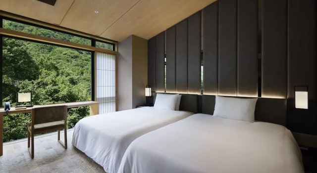 Номер Luxury Hatsuhana