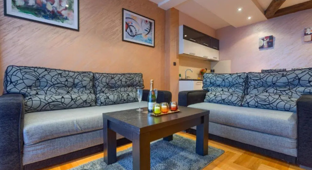 Апартаменты Superior Vila Barović and Spa