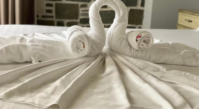 Люкс с видом на бассейн Hotel Sarajet e Pashait 1