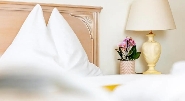 Двухместный номер Standard Hotel-Restaurant Minichmayr