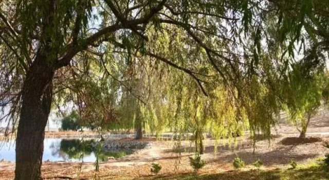 San Marcos Creek Vineyard & Winery, จอง โรงแรม San Miguel Paso Robles Wine Country