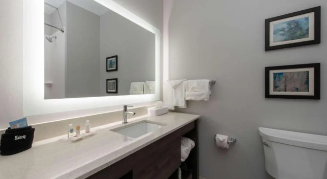 Четырёхместный люкс с видом на поле для гольфа Comfort Suites Greenville Airport