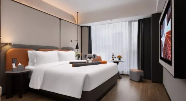 Люкс Premier Dolanda V Hotel (Yueyanglou Pedestrian Street)