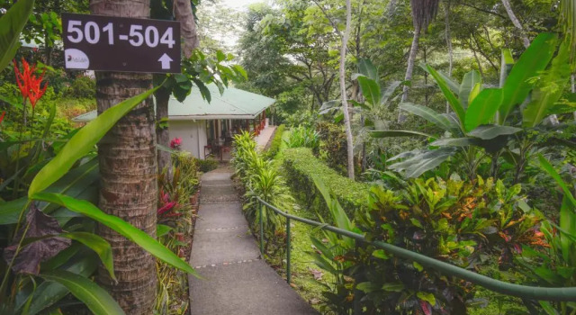 Номер Standard Hotel Cerro Lodge