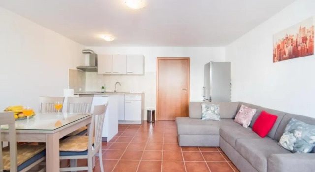 Apartment Budimir