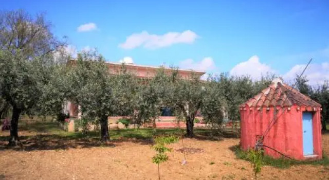 Villa Walter, Prenota Villa Oliena Barbagia