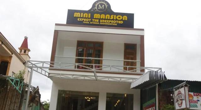 Mini Mansion