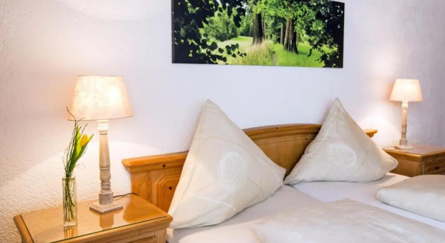 Двухместный номер Standard Hotel-Pension-Waldblick Garni