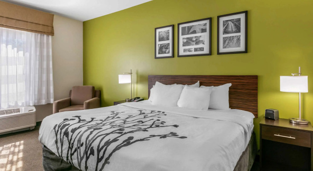 Двухместный номер Standard Sleep Inn & Suites Columbia I-65