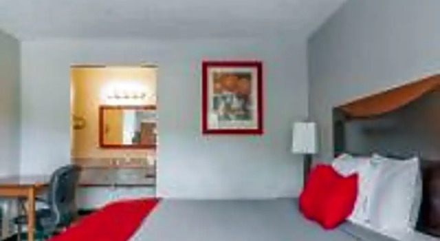 Студия Hotel Pinellas Park - St. Petersburg North US-19