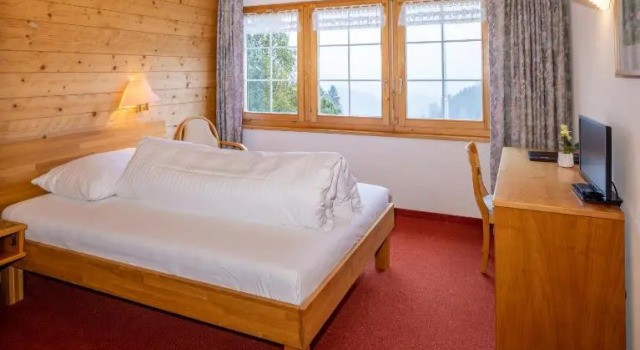 Одноместный номер Standard Hotel und Restaurant Chäseren