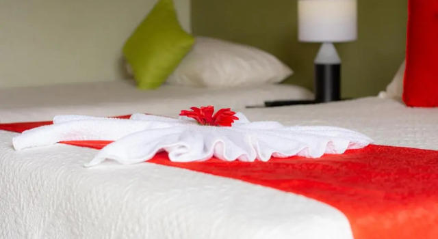 Номер Deluxe Nafre House B&B Monteverde