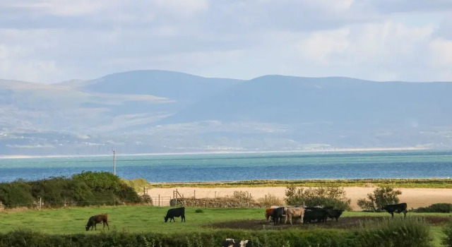 Tan Yr Allt, Prenota Casa vacanze Llanystumdwy Gwynedd