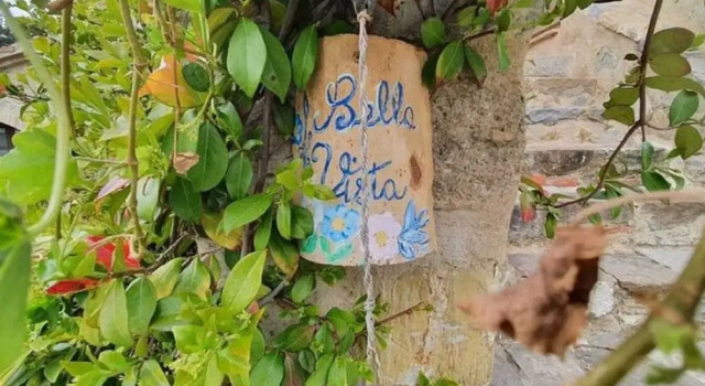 Коттедж Tuscan Scenic View Stay