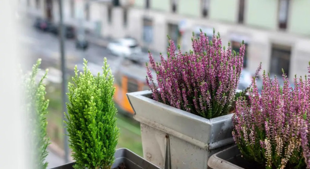 Апартаменты c 1 комнатой Urban District Apartments - Milan Lancetti Style