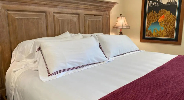 Номер Standard The Birdnest Inn
