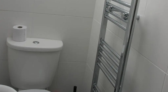 Трёхместный номер Standard Swan Hotel